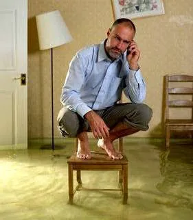 All American Public Adjusters Picture 4