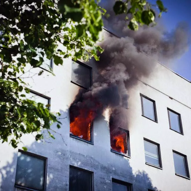 All American Public Adjusters Picture 5