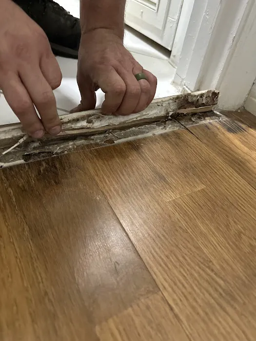 All American Public Adjusters Picture 2