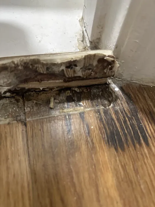 All American Public Adjusters Picture 9