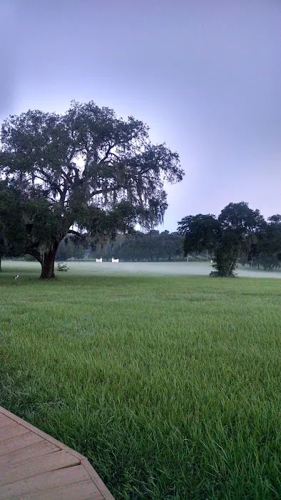 Nature Coast Restoration Picture 10