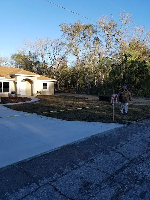 Nature Coast Restoration Picture 6