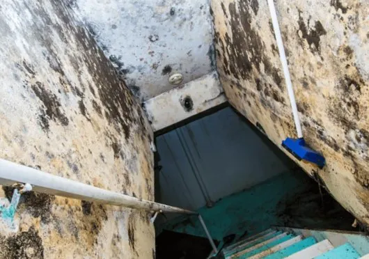 Kenjura Mold Removal Picture 1