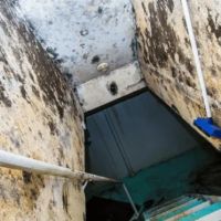 Kenjura Mold Removal ico