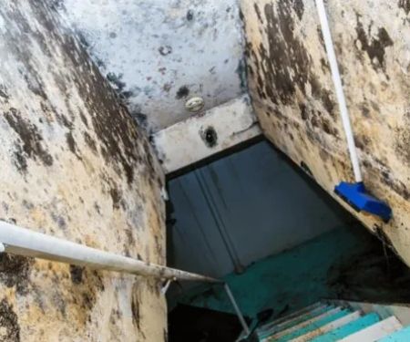 Kenjura Mold Removal