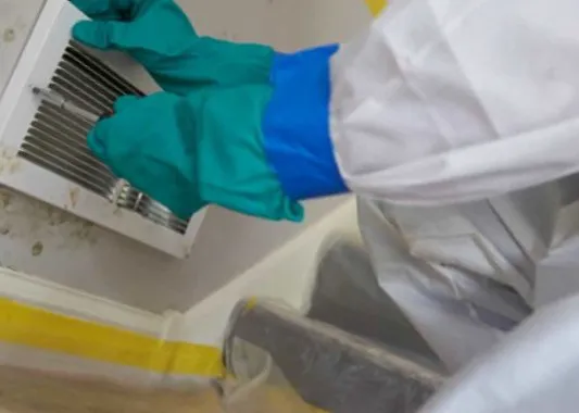 Kenjura Mold Removal Picture 7