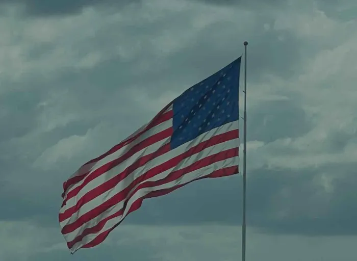 All Pride Environmental Picture 6