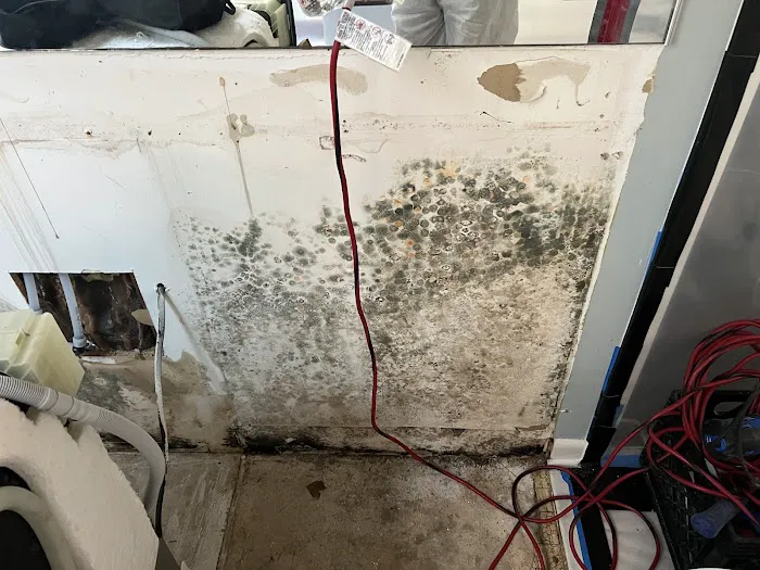 All Pride Environmental Picture 5