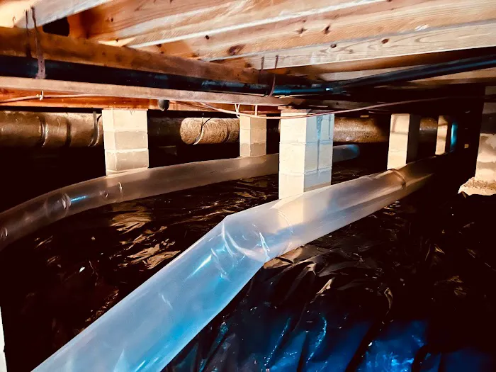 North Florida Mold Remediators Picture 6