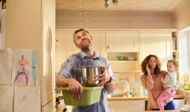 Pro Dry FL Picture 1