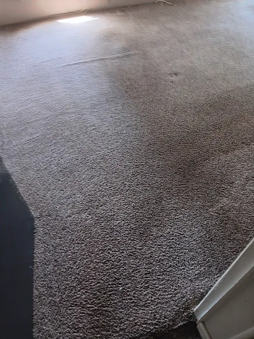 Stanley Steemer Picture 2