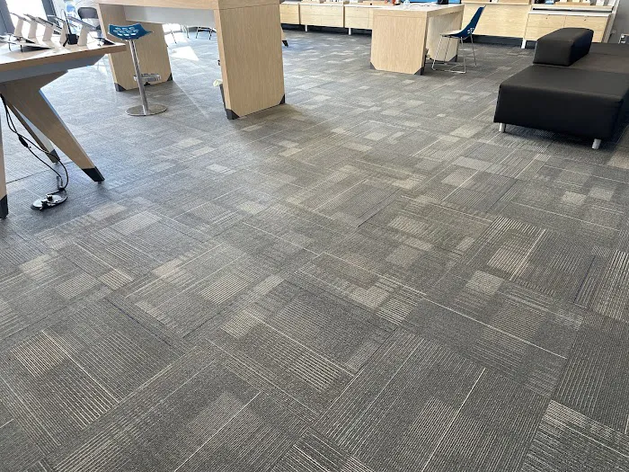 Stanley Steemer Picture 3