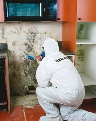 BELFOR Property Restoration Picture 5