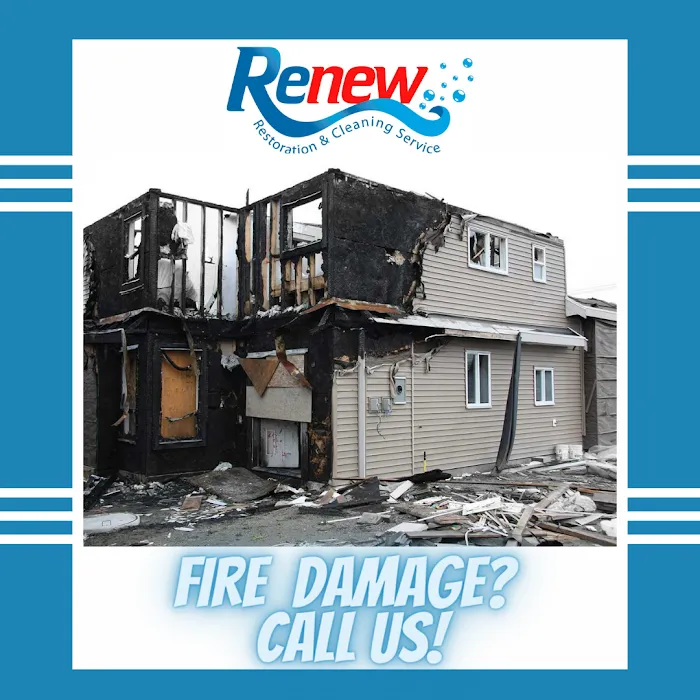 Renew Restoration and Cleaning Service Florida LLC Picture 10