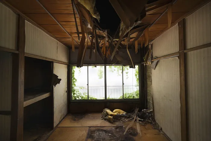 Renew Restoration and Cleaning Service Florida LLC Picture 4