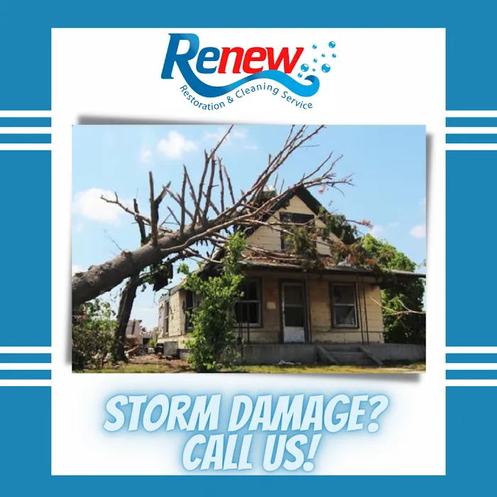 Renew Restoration and Cleaning Service Florida LLC Picture 8