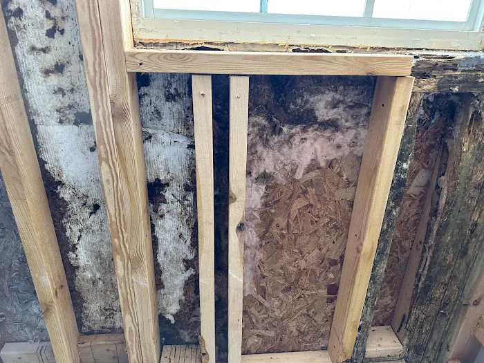 Homosassa Mold Removal Services Picture 6