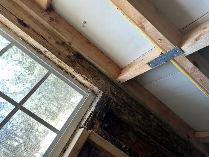 Homosassa Mold Removal Services Picture 5