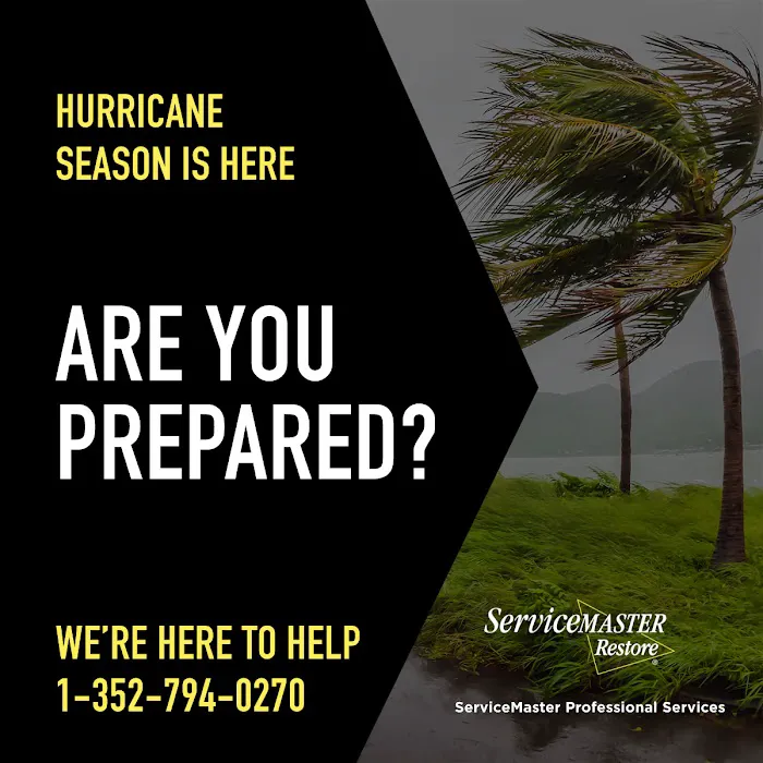 ServiceMaster Professional Services Citrus County Picture 6