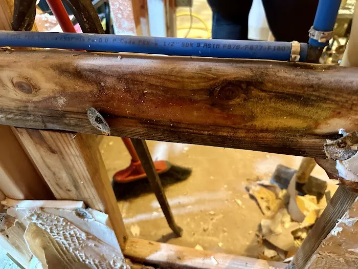 The Mold Guyz Picture 6