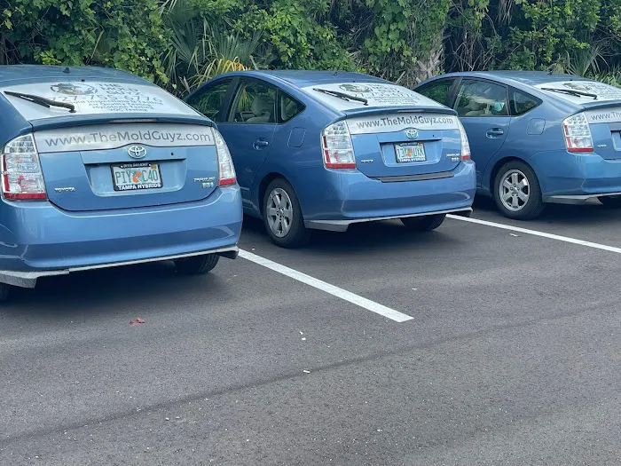 The Mold Guyz Picture 2