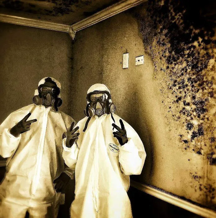 The Mold Guyz Picture 5