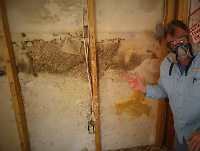 The Mold Guyz Picture 7