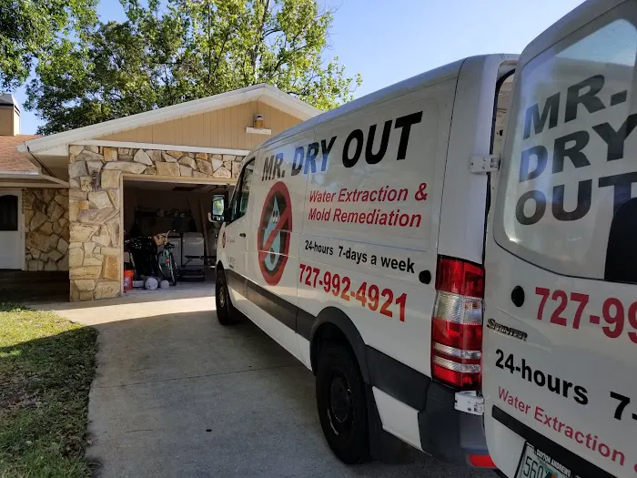 Mr Dry Out Picture 4