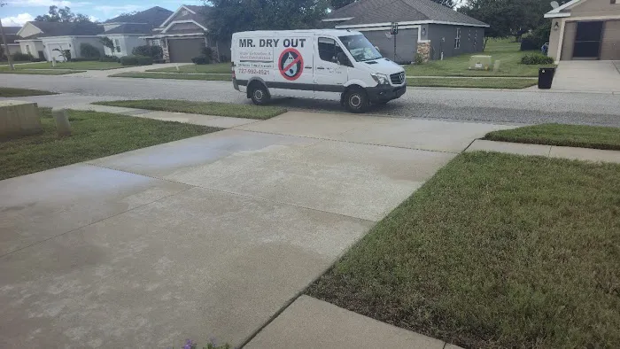 Mr Dry Out Picture 7