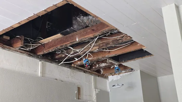 Mr Dry Out Picture 6