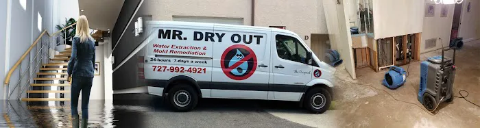 Mr Dry Out Picture 1