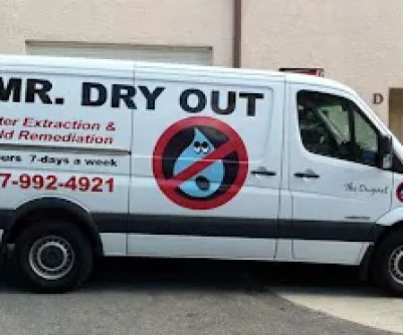 Mr Dry Out