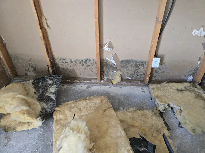 Mr Dry Out Picture 9