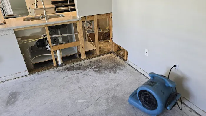 Mr Dry Out Picture 2