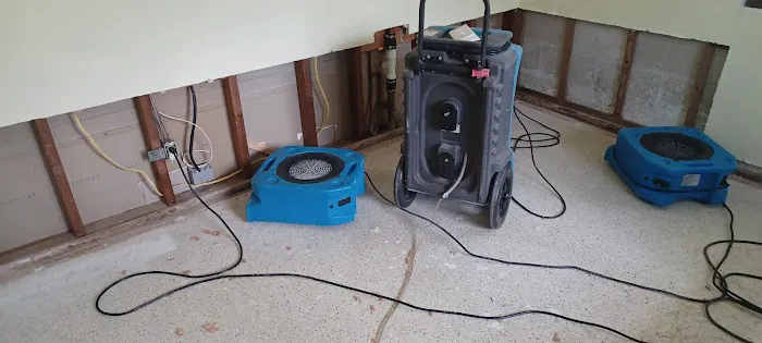 Discount Water and Mold Removal LLC Picture 3