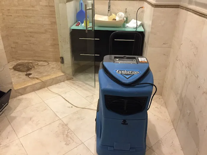 Discount Water and Mold Removal LLC Picture 1