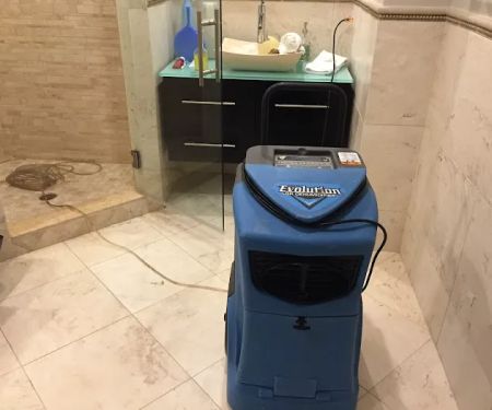 Discount Water and Mold Removal LLC