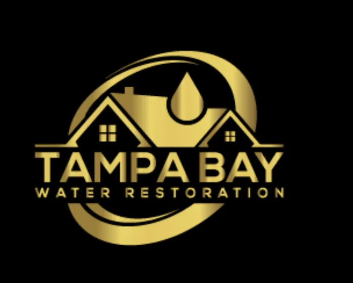 Tampa Bay Water Restoration LLC. Picture 2