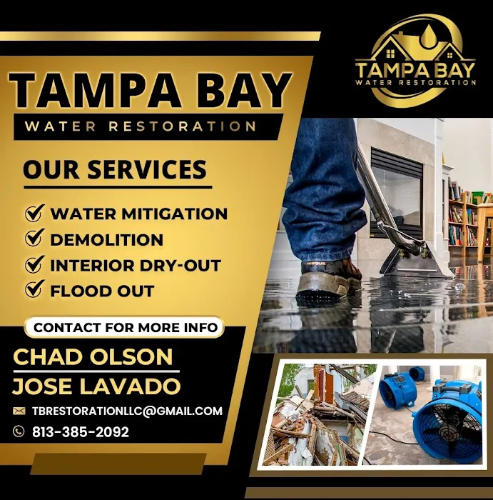 Tampa Bay Water Restoration LLC. Picture 4