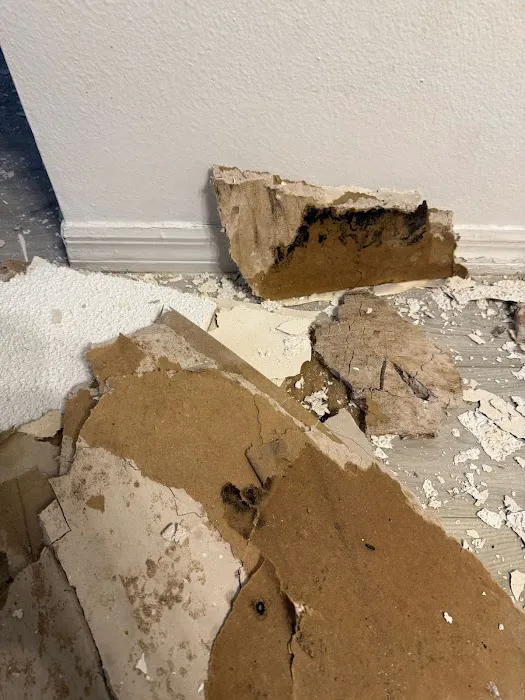 Varela Restoration LLC Picture 6