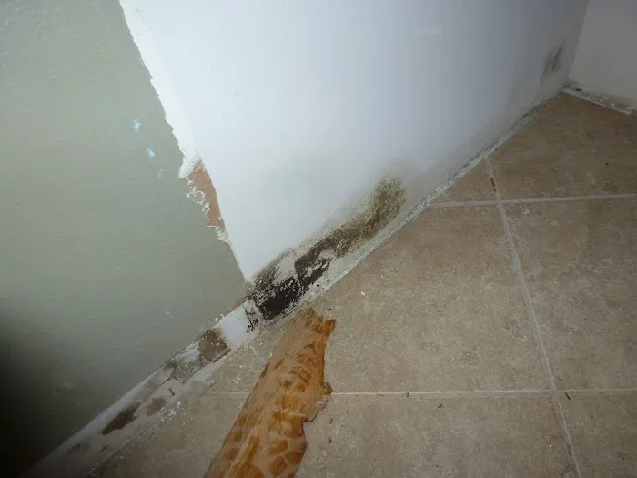 ProMaster Cleaning and Restoration Picture 3