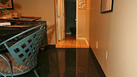 ProMaster Cleaning and Restoration Picture 2