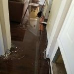 ProMaster Cleaning and Restoration