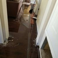 ProMaster Cleaning and Restoration ico