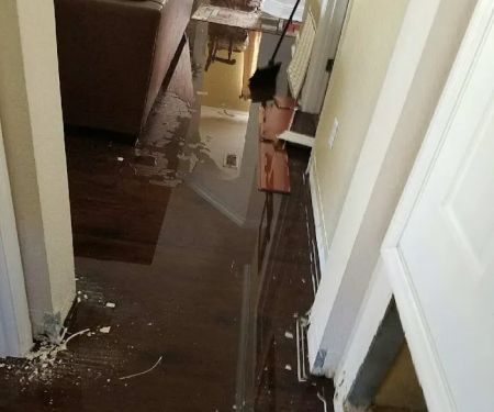 ProMaster Cleaning and Restoration