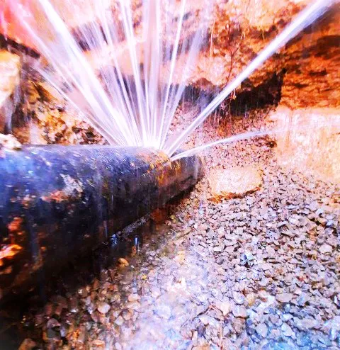 Belier Water Damage Picture 5