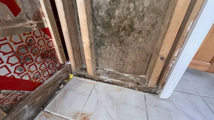 24/7 EMSResponse Picture 7