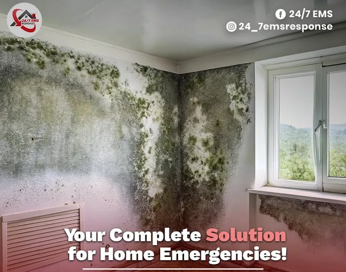 24/7 EMSResponse Picture 9