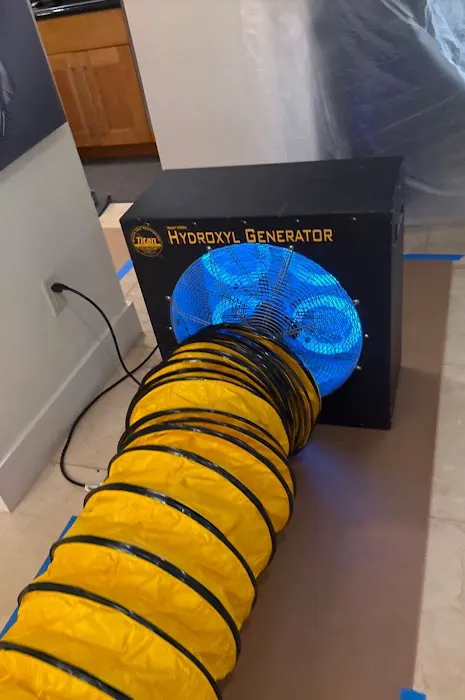 Real Mold Solution Picture 3