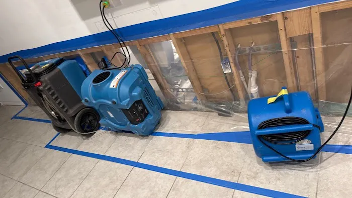 Real Mold Solution Picture 1